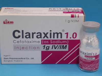 [AMB] (POM) Cefotaxime Injection 1g | Medical Supermarket