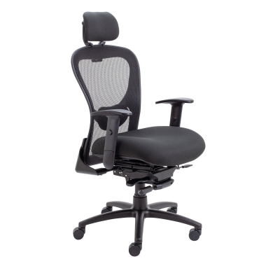 Ferney High Back Mesh Task Chair with Headrest Height Adjustable Arms Black