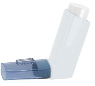 In-Check Flo-Tone Inhaler Trainer