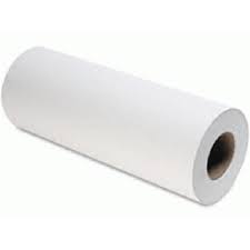 Standard 2 Ply 10" Couch Roll White