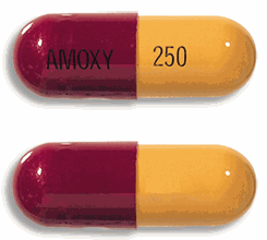 [AMB] (POM) Amoxicillin Capsules 250mg