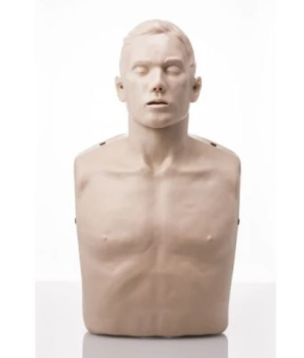 Brayden Manikin Without Lights