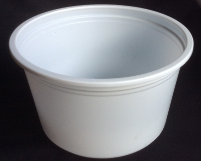 Denture Container without Lid