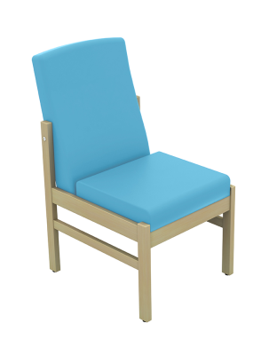 Atlas Patient Low Back Armchair Without Arms