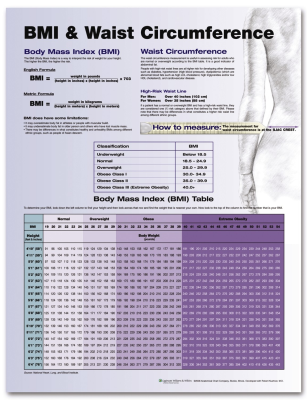 BMI Waist Circumference Chart