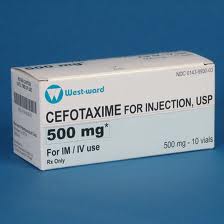 [AMB] (POM) Cefotaxime Injection 500mg | Medical Supermarket